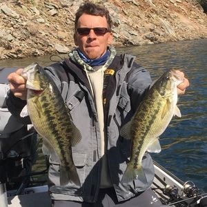 Meet your Posher, Pat